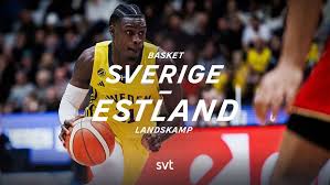 SVT Nyheter - News update
