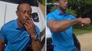 Trend Google: tiger woods incidente