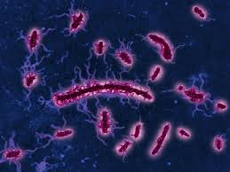 Image result for how to tified treatment full stories