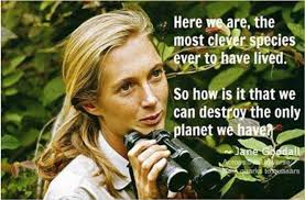 Here we are...&quot; Jane Goodall [720x475] : QuotesPorn via Relatably.com