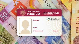 ¿Cómo tramitar en línea la credencial del INAPAM para Adultos mayores?