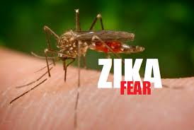 Image result for images of zika virus