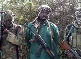 Image result for boko haram