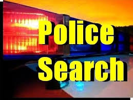 Image result for police search