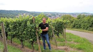 winzergenossenschaft