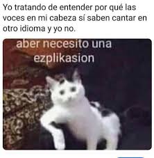 😅😅😅 Yo tratando de entender por qué las voces en mi ...