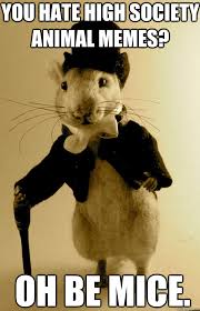 Image result for Animal Meme