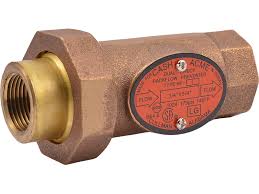 BF Dual Check Valve | Cash Acme