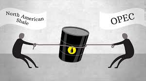 Image result for opec
