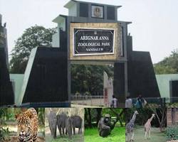 Image of Vandalar Zoo, Chennai