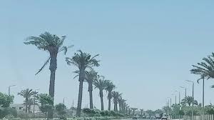 Masrawy - News update