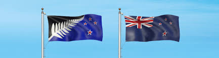 Image result for new flag