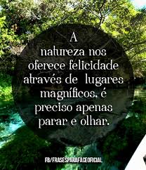 Resultado de imagem para frases sobre natureza e deus