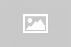 Rayo - News update
