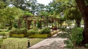 Picture of Machagai