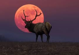 Cuando Es Luna Llena