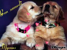 Résultat de recherche d'images pour "samedi gifs animes"