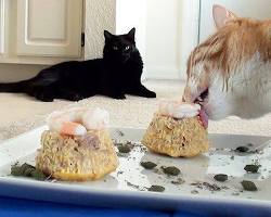 猫用のツナ豆腐ケーキ