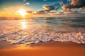 Travel And Tour World - News update