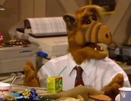 Résultat de recherche d'images pour "Ecto Cooler"