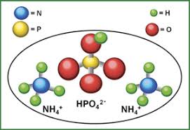 Image result for http://dramarnathgiri.blogspot.in/