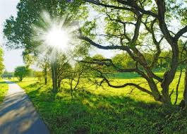 Heat up to 38 degrees expected in Azerbaijan on Sunday