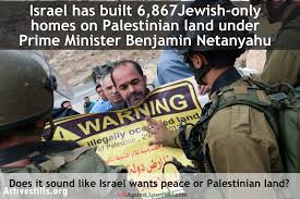 Image result for ISRAELI crimes PHOTO
