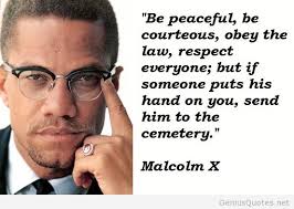 Peaceful-quote-Malcolm-X.jpg via Relatably.com