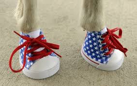 Image result for minature horse shoes