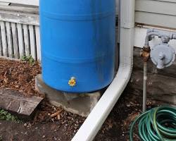 Image of Plastic barrels used for water collection