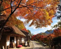熊野古道の紅葉の画像