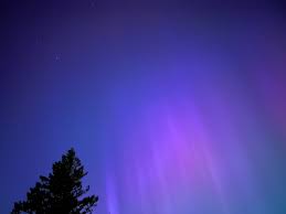 aurora forecast Picture