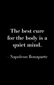 Napoleon Bonaparte on Pinterest | Napoleon, Quote and Quotes About via Relatably.com