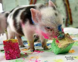 images?q=tbn:ANd9GcTnMBTdSywcv-FnW7_pk6LSEqzsR0k8b6UgykZwFuQr5me1ekeO