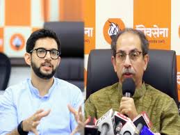 “राज्यात हिंदी सक्ती धोरण उद्धव ठाकरेंनी स्वीकारले, आदित्य ठाकरेंकडून पाठराखण”; कुणाचा दावा?