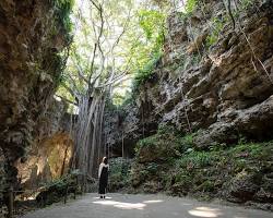 Gangala Valley in Okinawa, with sunlight filtering through the lush greenery and illuminating the ancient cave entrance.の画像