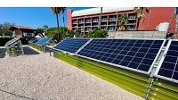 After Agrivoltaic, Welcome Algovoltaic Systems