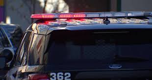 One person in custody after gun found at suburban Chicago high school: officials