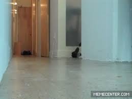 Znalezione obrazy dla zapytania missed joke