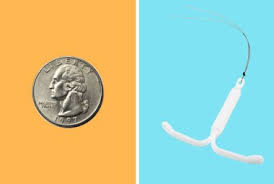 Image result for IUD image