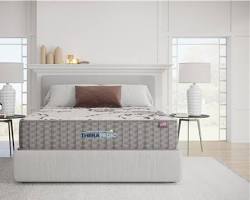 Therapedic GelZone Mattress
