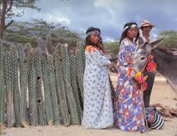 Image result for wayuu