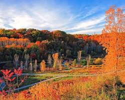 Fall Colours in Toronto