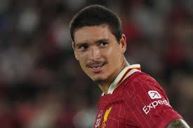 The Liverpool Offside - News update