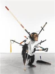 Image result for tony matelli