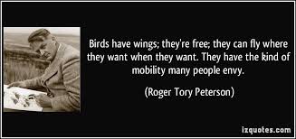 Birds have wings; they&#39;re free; they can fly where they want when ... via Relatably.com