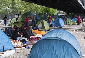 Image result for immigrants-in-Paris