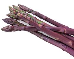Image de Purple asparagus on a white background