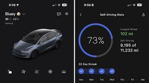 Tesla Launches Dedicated Self-Driving Section in Tesla App