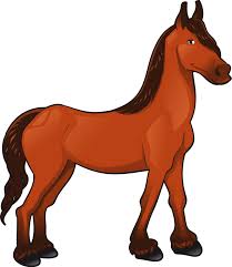 Image result for HORSE